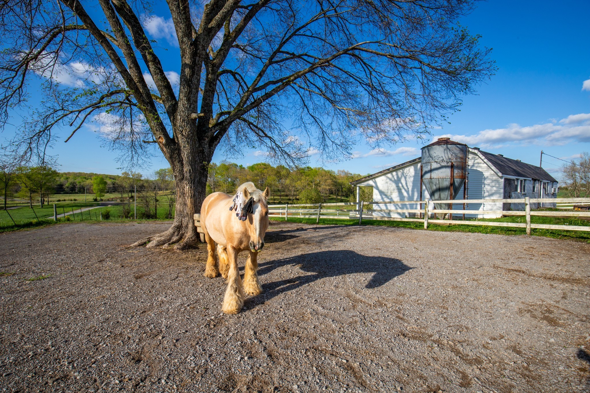 501 Burnt Hill Road Unionville TN 37180