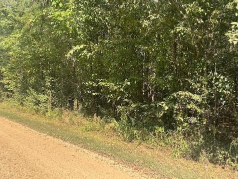0 Tow Boat Lane Adamsville TN 38310