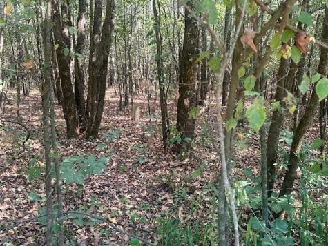 0 Tow Boat Lane Adamsville TN 38310