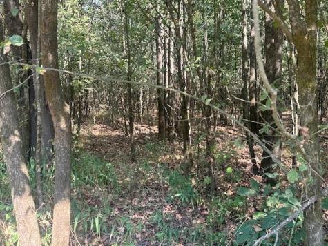0 Tow Boat Lane Adamsville TN 38310