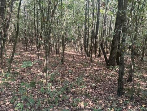 0 Tow Boat Lane Adamsville TN 38310