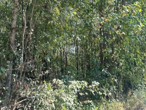 0 Tow Boat Lane Adamsville TN 38310