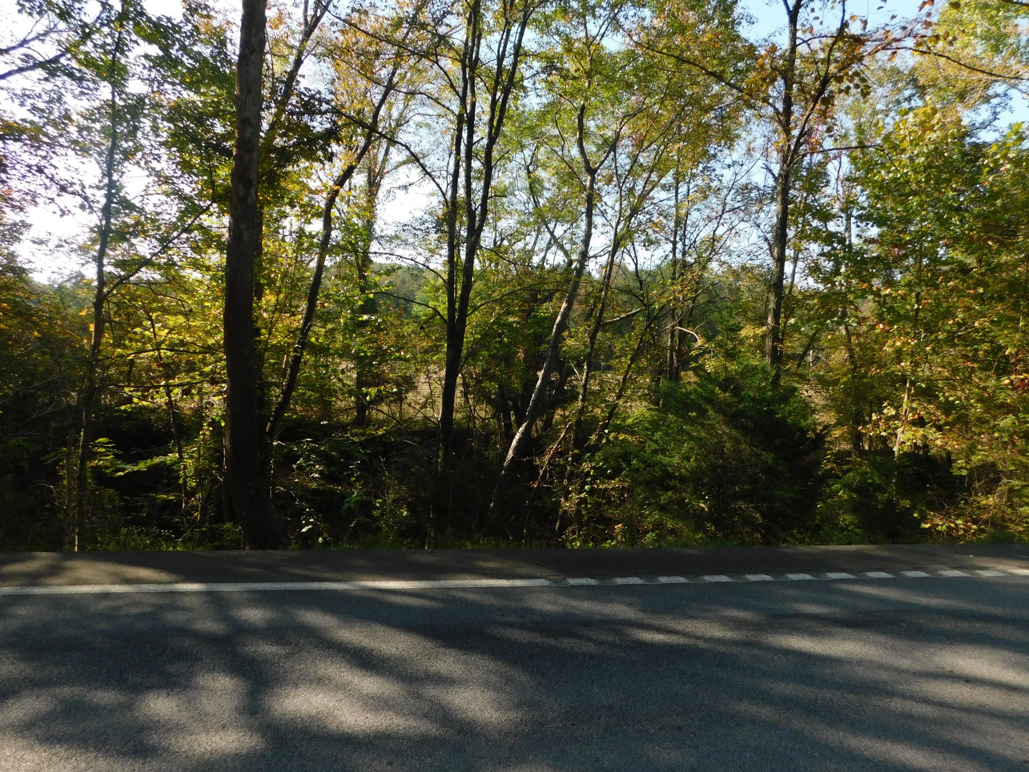 0 Highway 13 S, S Waverly TN 37185