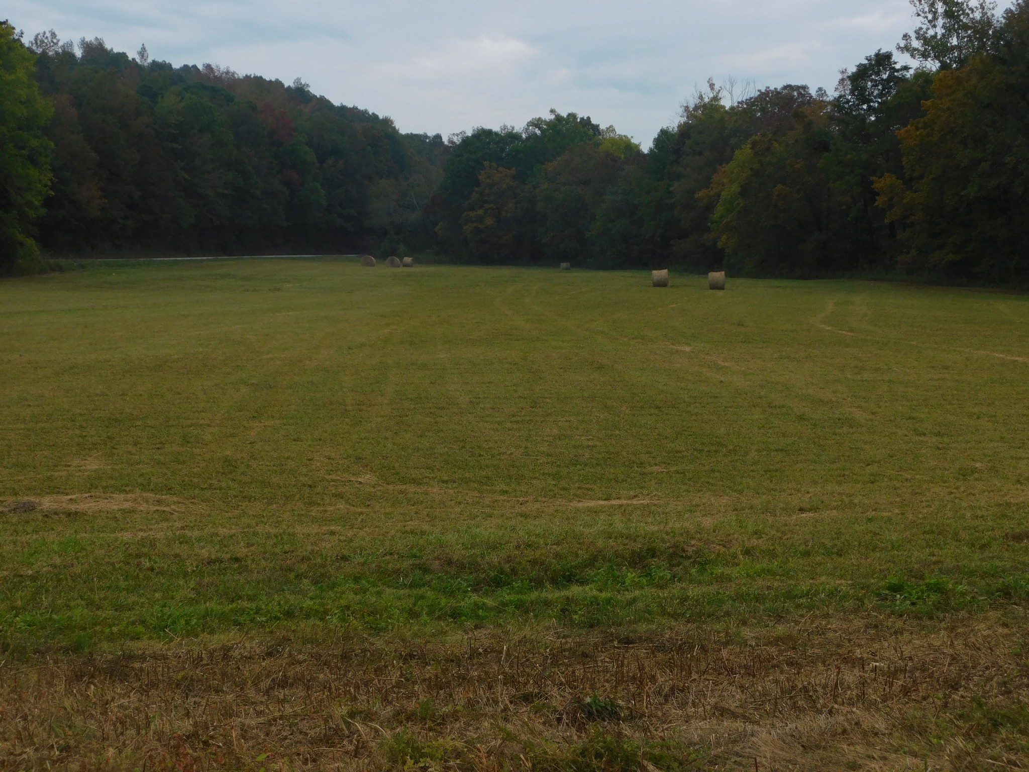 0 Highway 13 S, S Waverly TN 37185