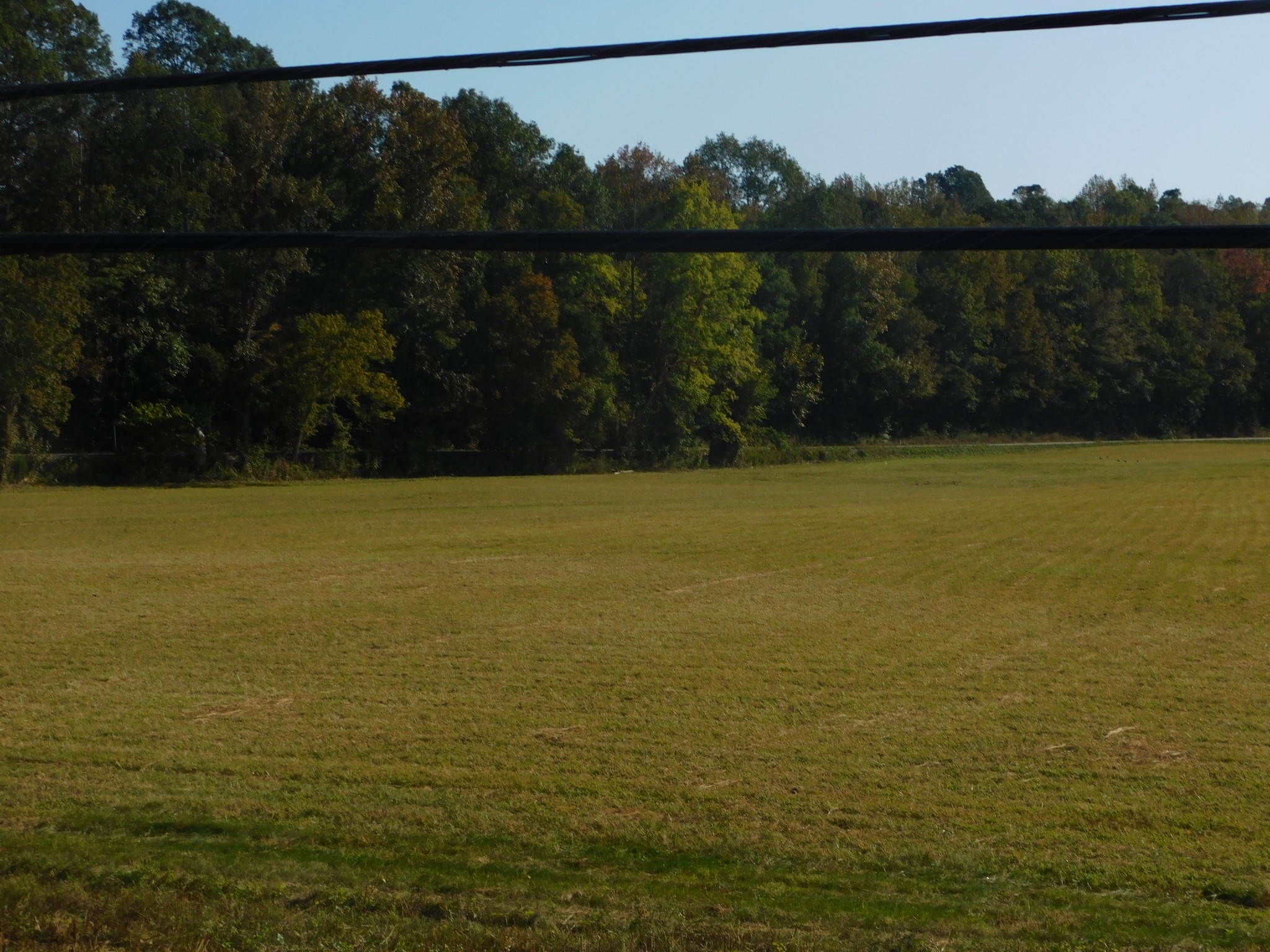 0 Highway 13 S, S Waverly TN 37185