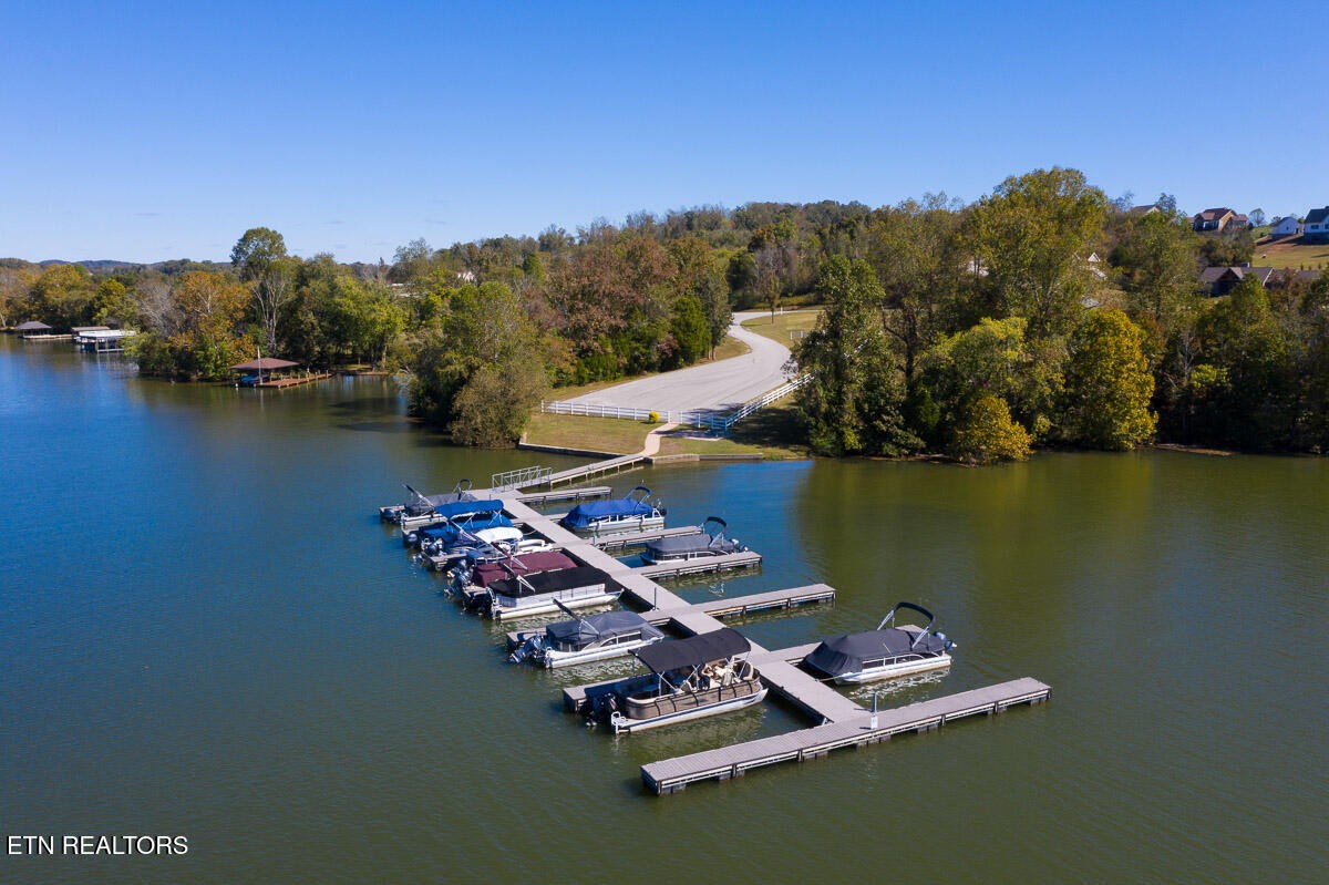216 Majestic View Drive Rockwood TN 37854
