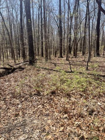 0 Deep Woods Road Sewanee TN 37375