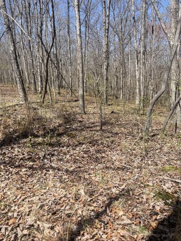 0 Deep Woods Road Sewanee TN 37375