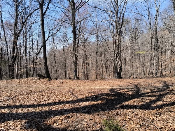 0 Milligan Road Liberty TN 37095