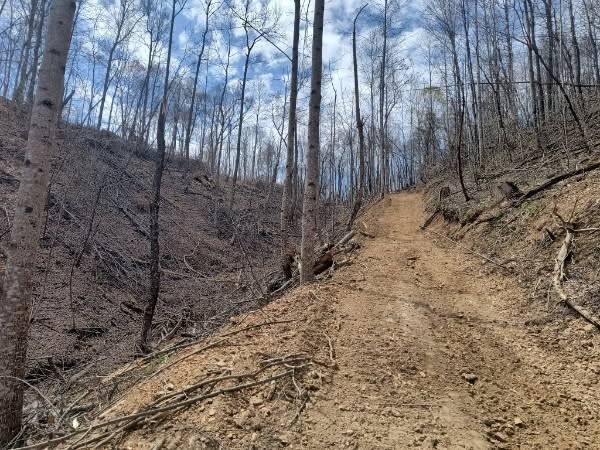 0 Milligan Road Liberty TN 37095