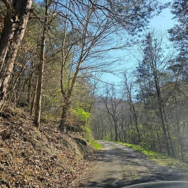 0 Milligan Road Liberty TN 37095