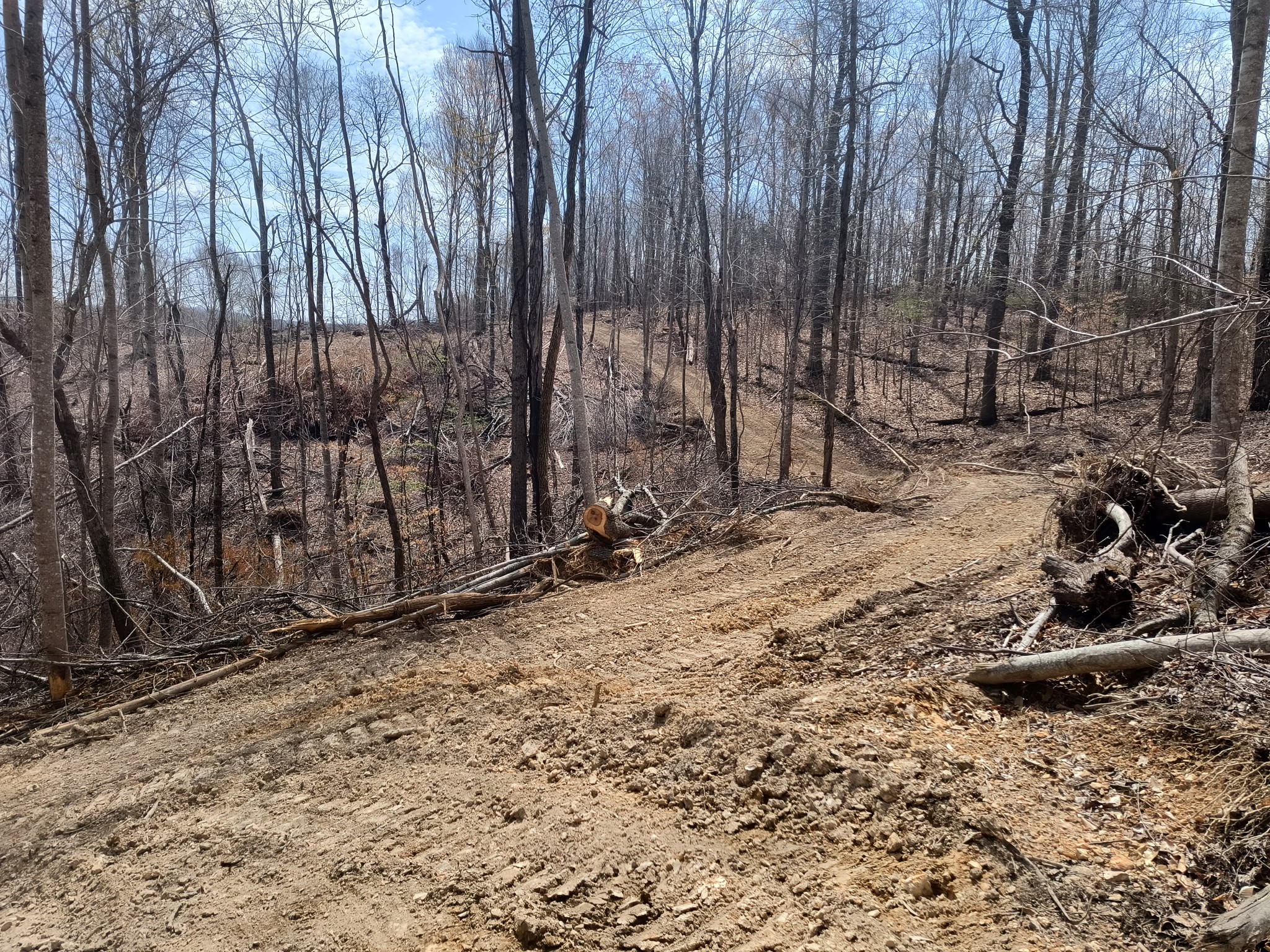 0 Milligan Road Liberty TN 37095