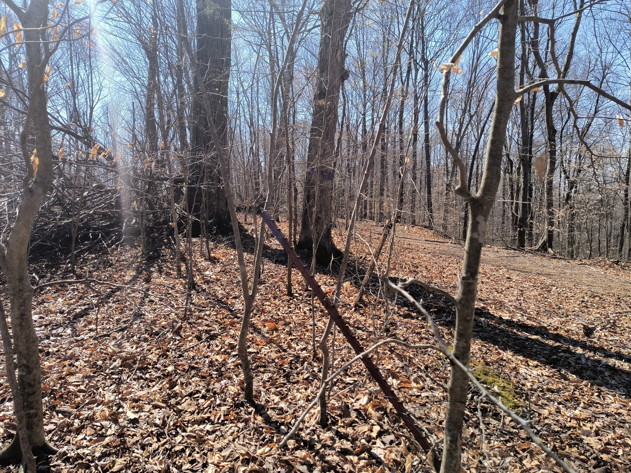 0 Milligan Road Liberty TN 37095