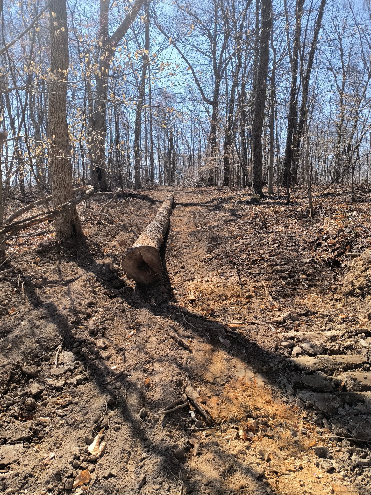 0 Milligan Road Liberty TN 37095