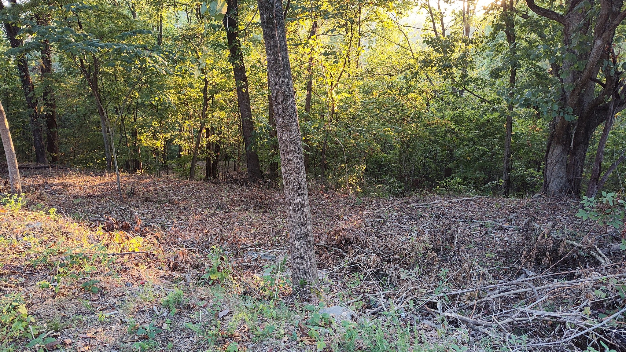 25 Harbor Pointe Lane Silver Point TN 38582