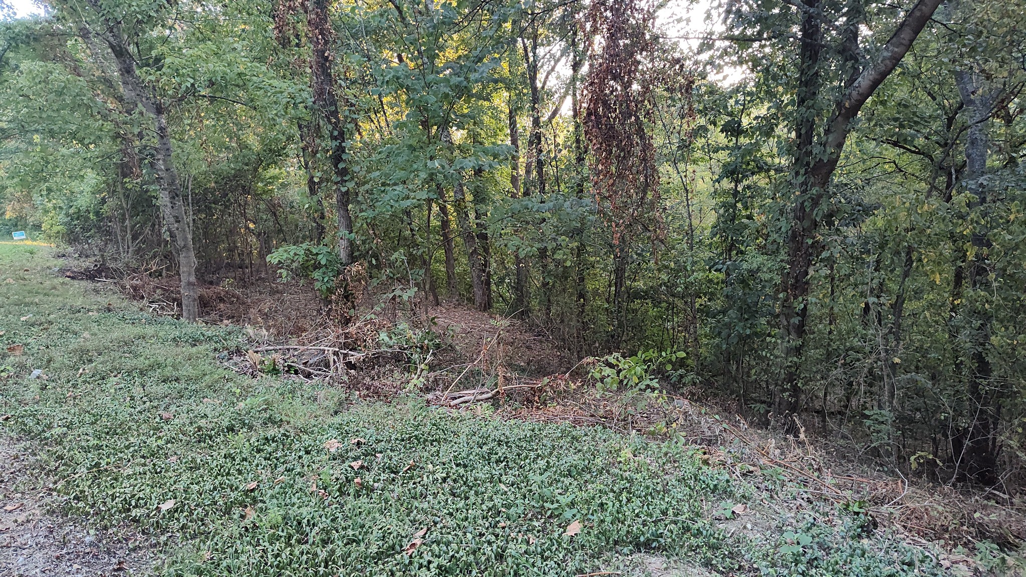 25 Harbor Pointe Lane Silver Point TN 38582