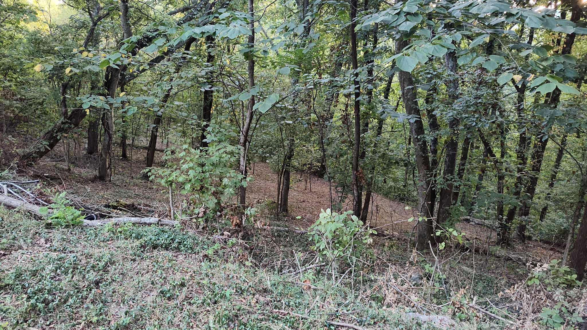 25 Harbor Pointe Lane Silver Point TN 38582