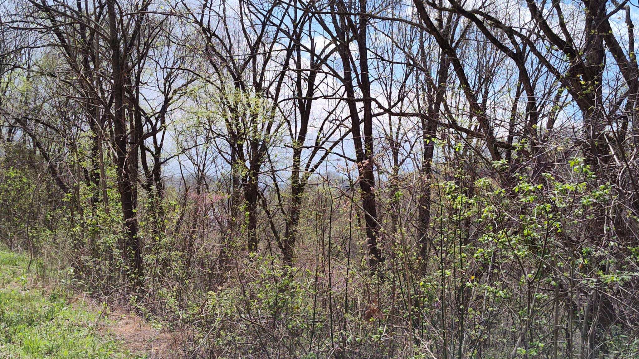 25 Harbor Pointe Lane Silver Point TN 38582