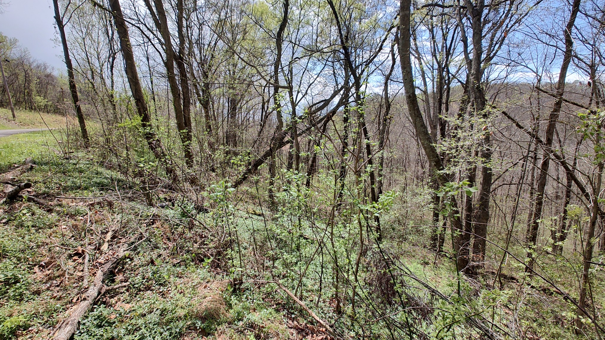 25 Harbor Pointe Lane Silver Point TN 38582