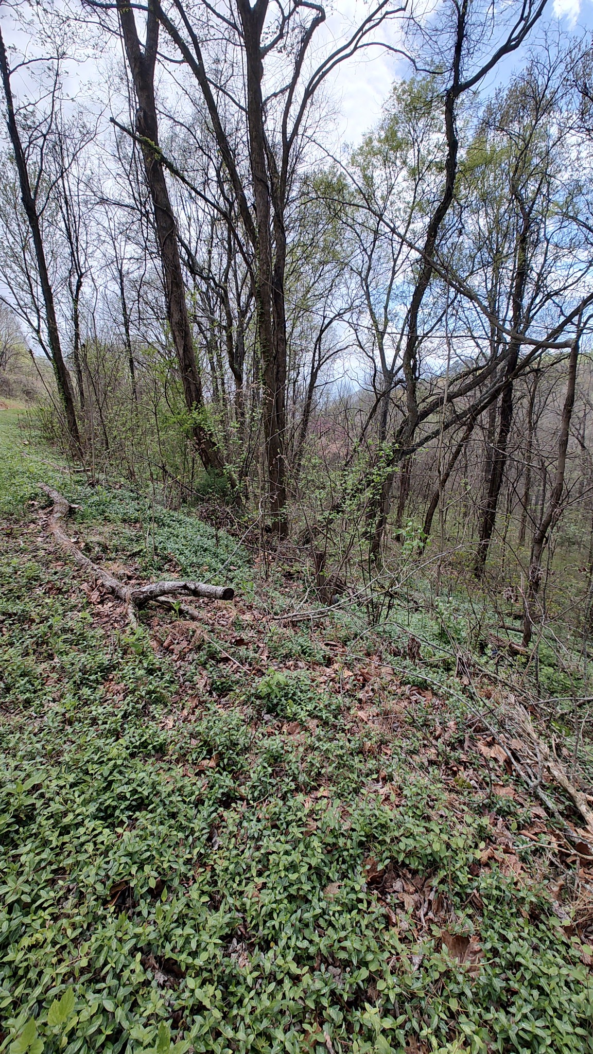 25 Harbor Pointe Lane Silver Point TN 38582