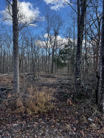 0 Oak Drive Beechgrove TN 37018