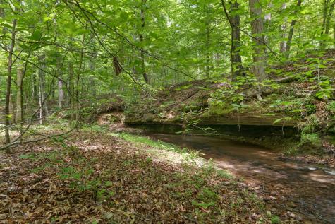 1635 Right Prong Blue Buck Road Duck River TN 38454