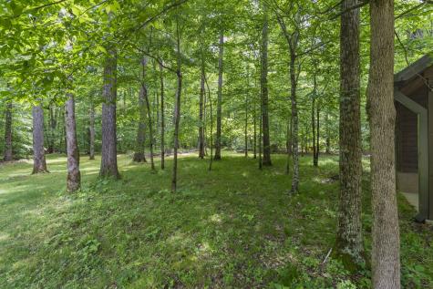 1635 Right Prong Blue Buck Road Duck River TN 38454