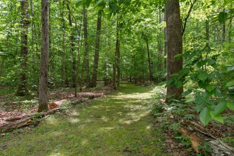 1635 Right Prong Blue Buck Road Duck River TN 38454