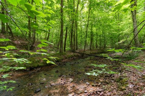 1635 Right Prong Blue Buck Road Duck River TN 38454