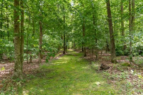 1635 Right Prong Blue Buck Road Duck River TN 38454