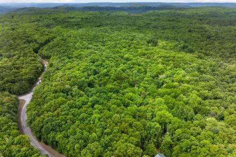 0 Crest Road Monterey TN 38574