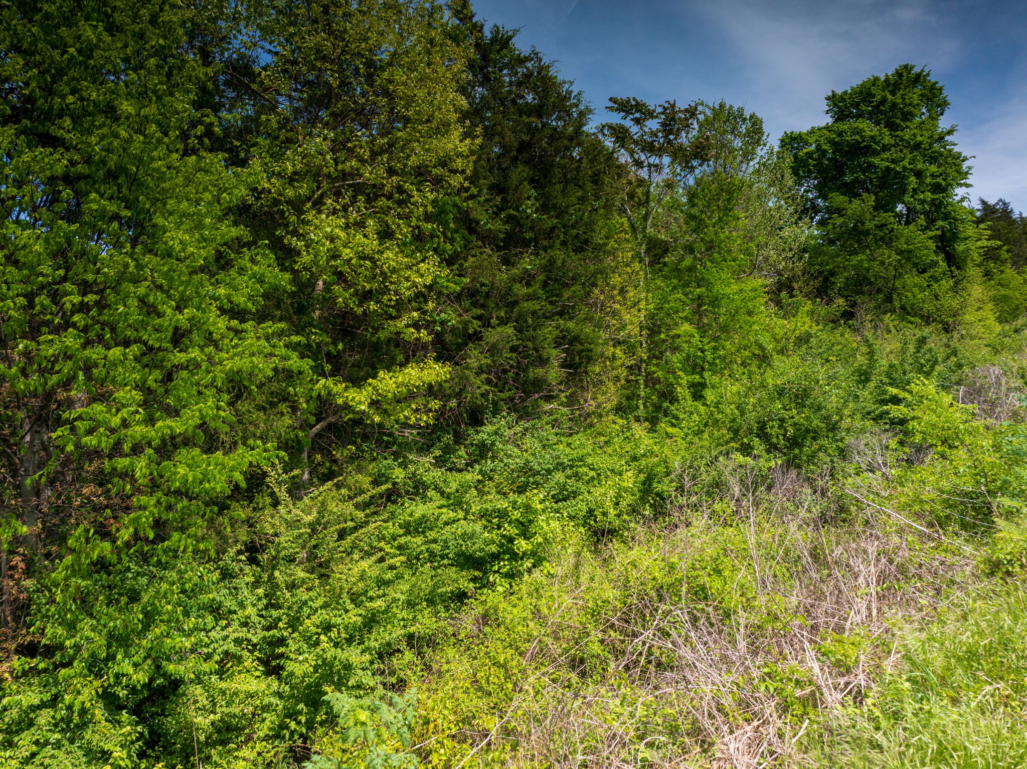 1 Murfreesboro Road Readyville TN 37149