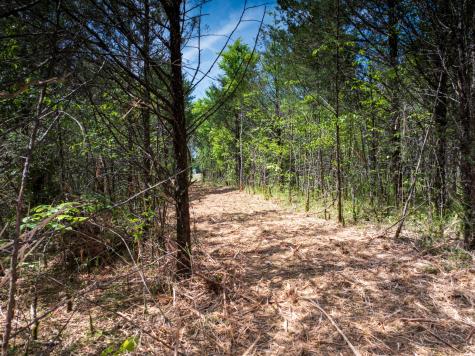 1 Murfreesboro Road Readyville TN 37149