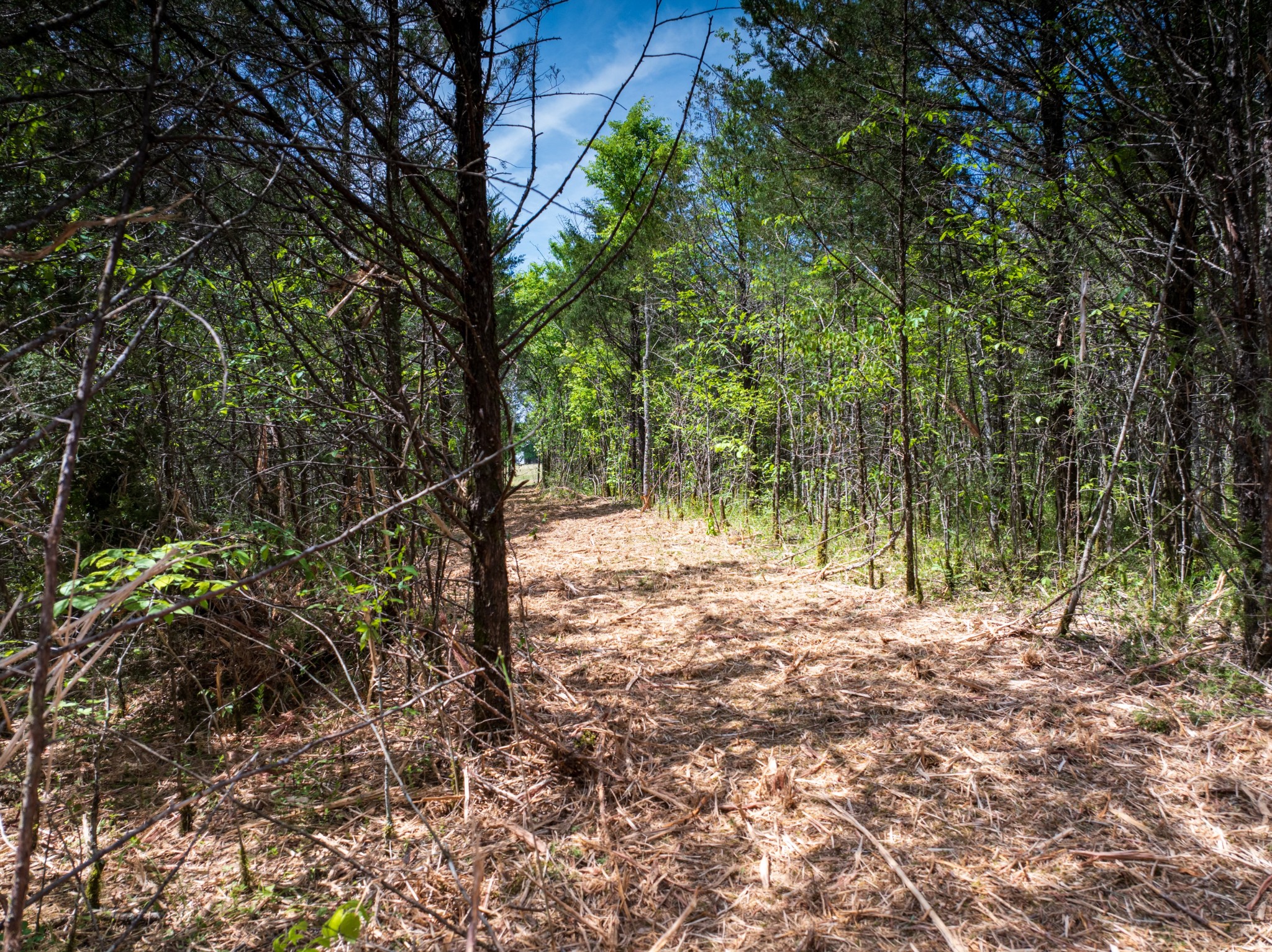 1 Murfreesboro Road Readyville TN 37149