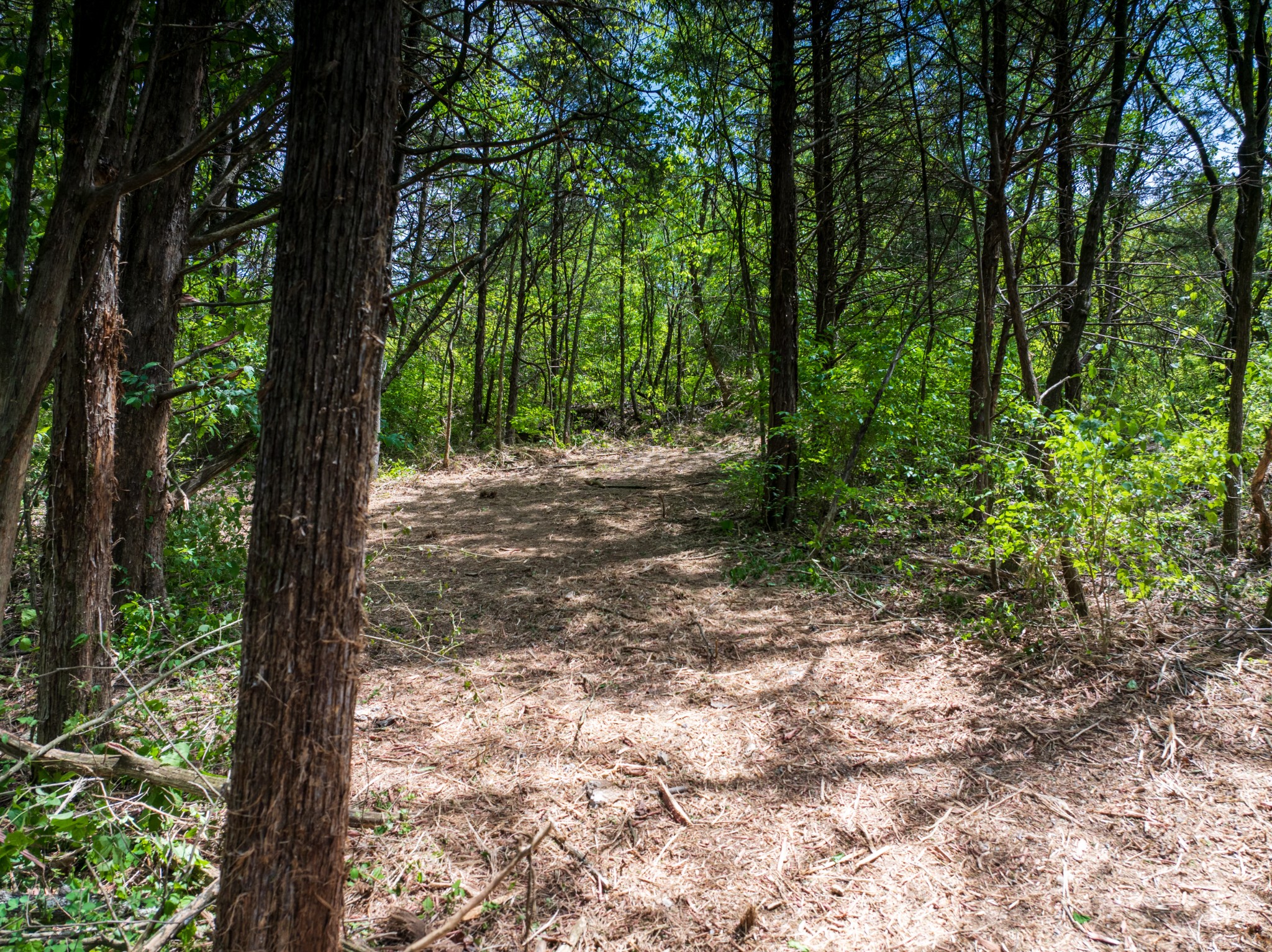 1 Murfreesboro Road Readyville TN 37149