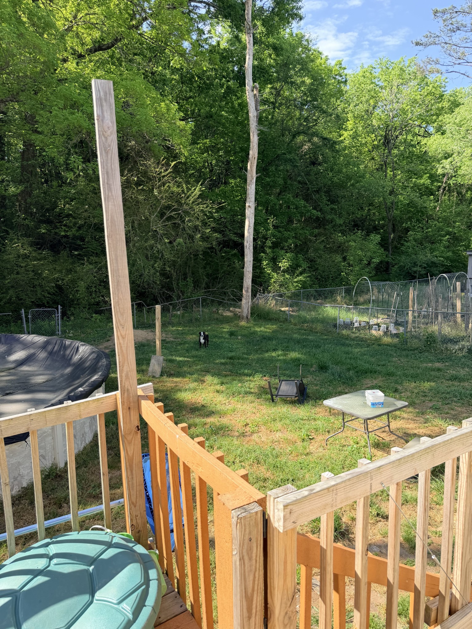 2079 Phillips Street Lewisburg TN 37091