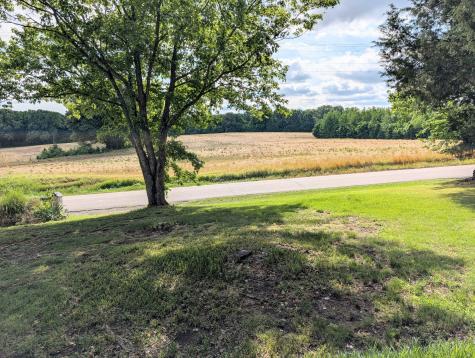 6106 Chestnut Bluff Maury C Road Friendship TN 38034