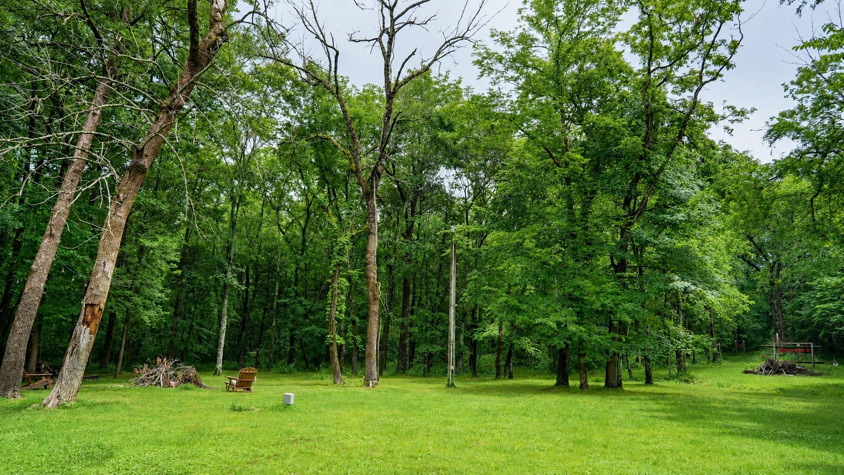3061 Palomino Place Hermitage TN 37076