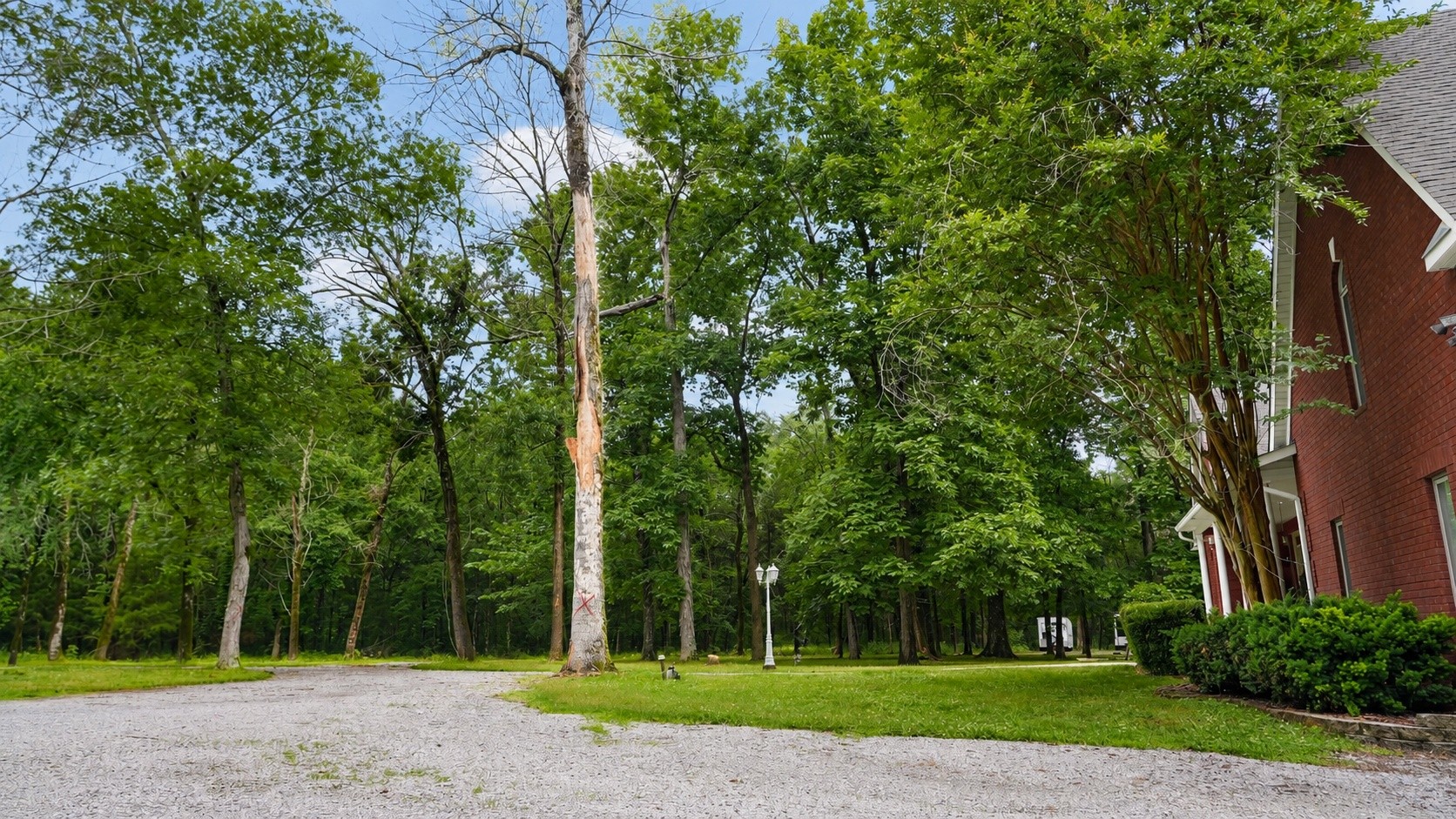 3061 Palomino Place Hermitage TN 37076