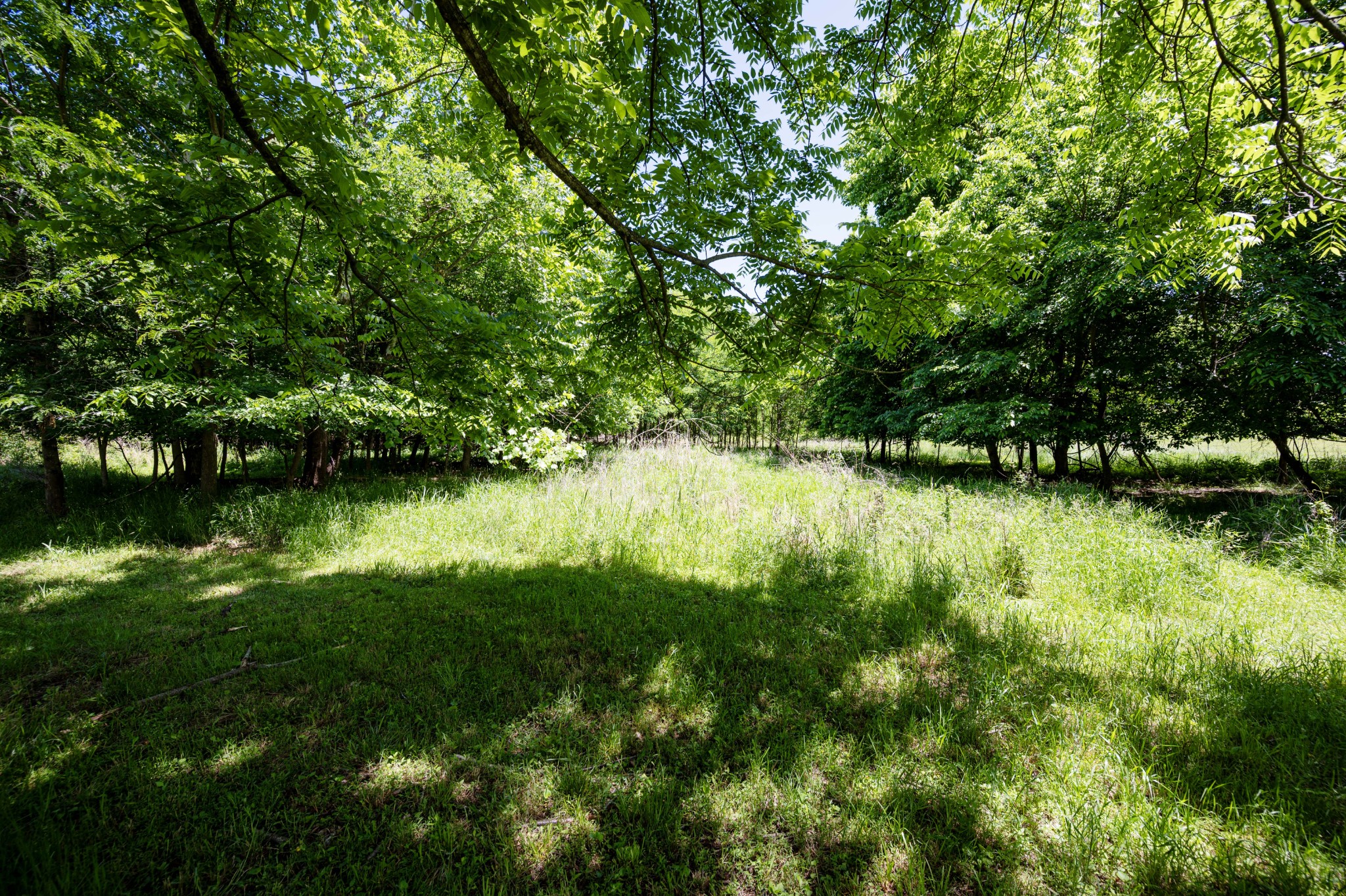 103 Canyon Drive Clarksville TN 37042