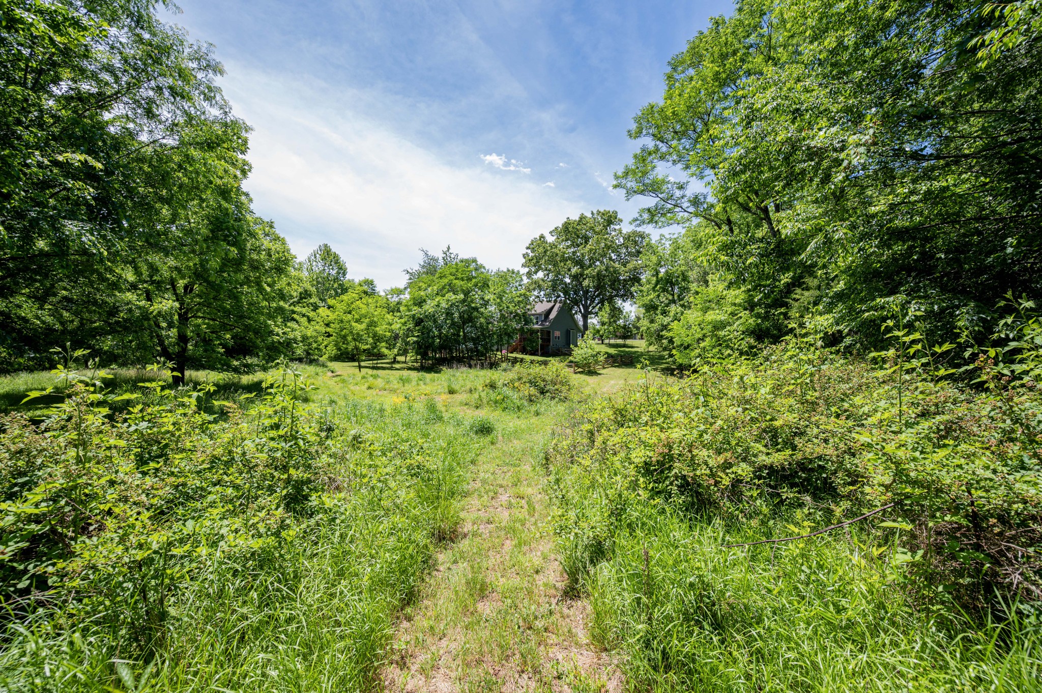 103 Canyon Drive Clarksville TN 37042
