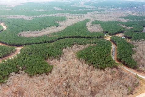 0 Moonlight Lane Jasper TN 37347