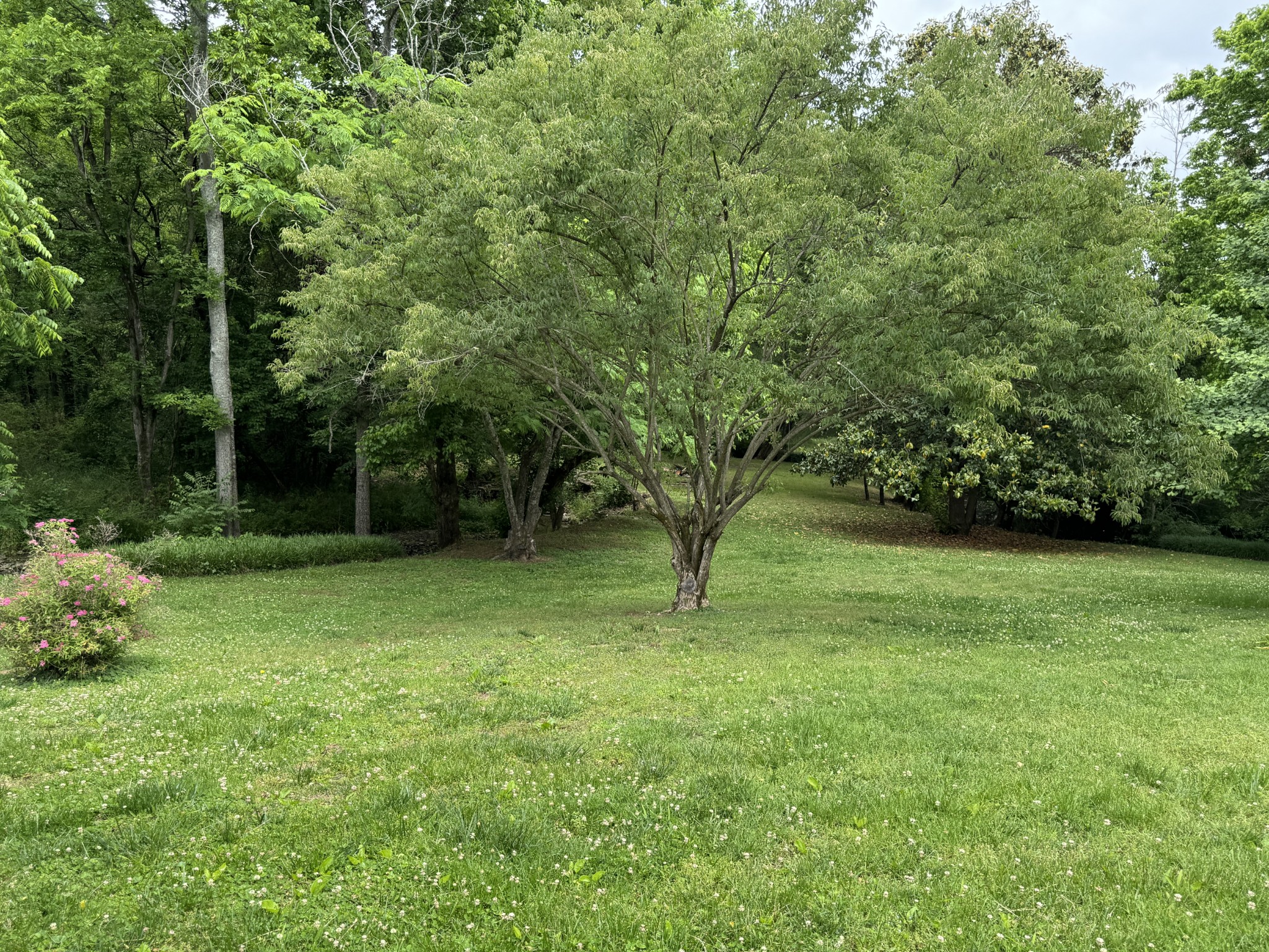 129 Oakland Drive Gallatin TN 37066