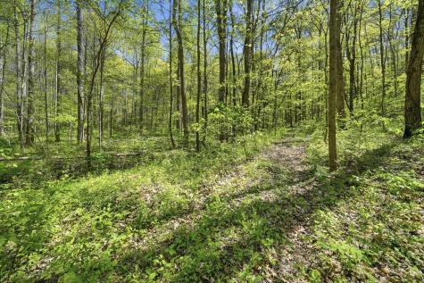 0 Green Road Beechgrove TN 37018