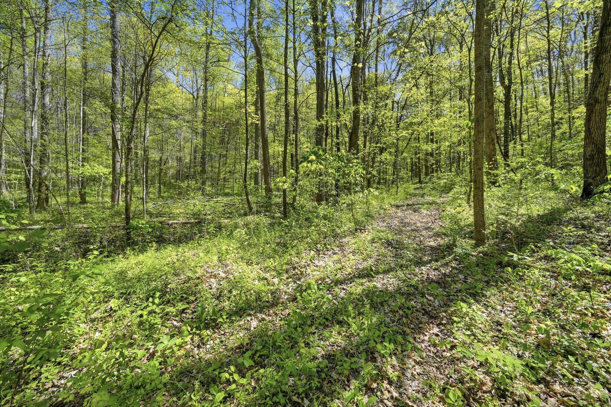 0 Green Road Beechgrove TN 37018