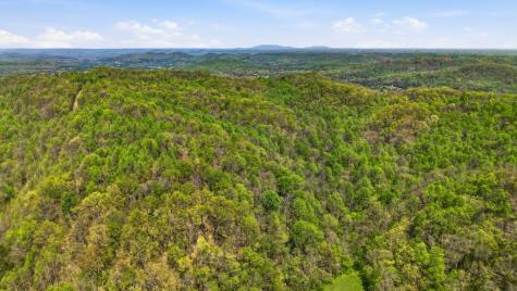 0 Green Road Beechgrove TN 37018