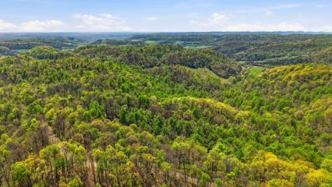 0 Green Road Beechgrove TN 37018