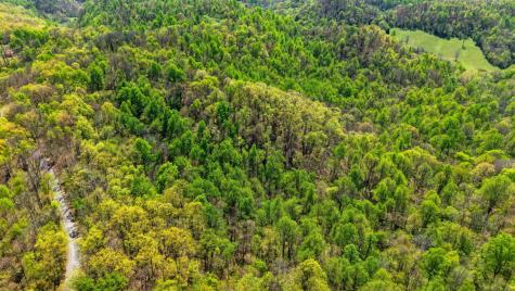 0 Green Road Beechgrove TN 37018
