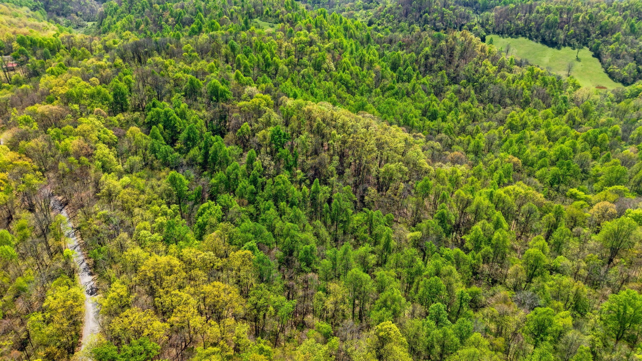 0 Green Road Beechgrove TN 37018