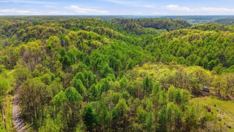0 Green Road Beechgrove TN 37018